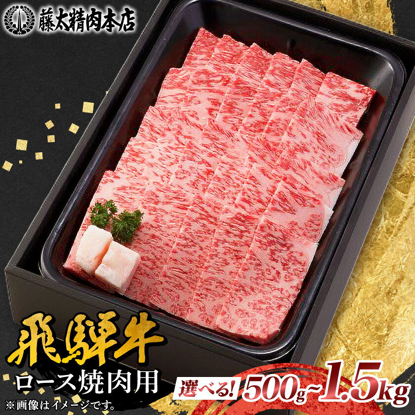 【ふるさと納税】【飛騨牛】ロース焼肉500g 岐阜県産 黒毛和牛 BBQ 贈り物にも【配送不可地域：離島】【1046749】