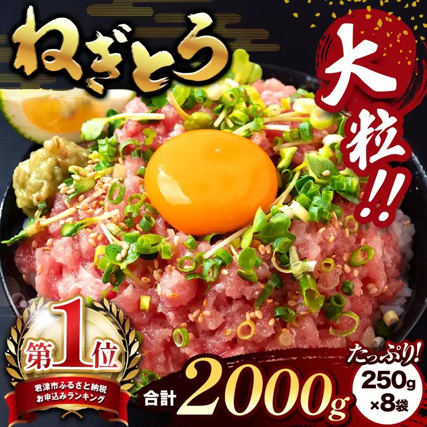 清幸丸水産 大人気！ ねぎとろ 2000g | ネギトロ とろ 鮪 マグロ まぐろ たたき まぐろのたたき 海鮮 海鮮丼 魚介 魚 人気 オススメ 小分け 人気 定番 ご飯 オススメ 千葉県 君津市 きみつ
