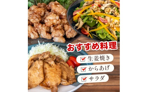 濃縮 生姜 シロップ パウチ 6パック セット 360ml 万能 調味料 生姜 自由自在 あわせしょうが ドレッシング 飲料 調理 ジュース KP009-2x