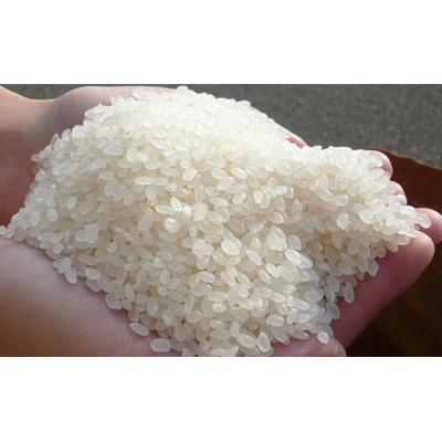 ふるさと納税 羽後町 【令和7年産】美少女イラスト あきたこまち 5kg [No.5325-0195] |  | 03