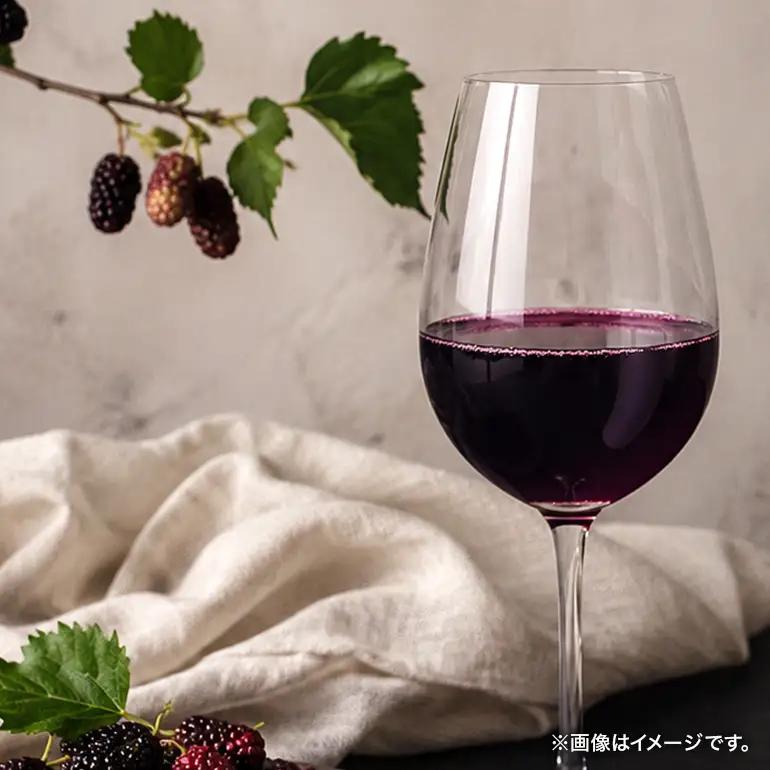 沖縄ナンデンシー（500ml×2本） 酒 リキュール CG07