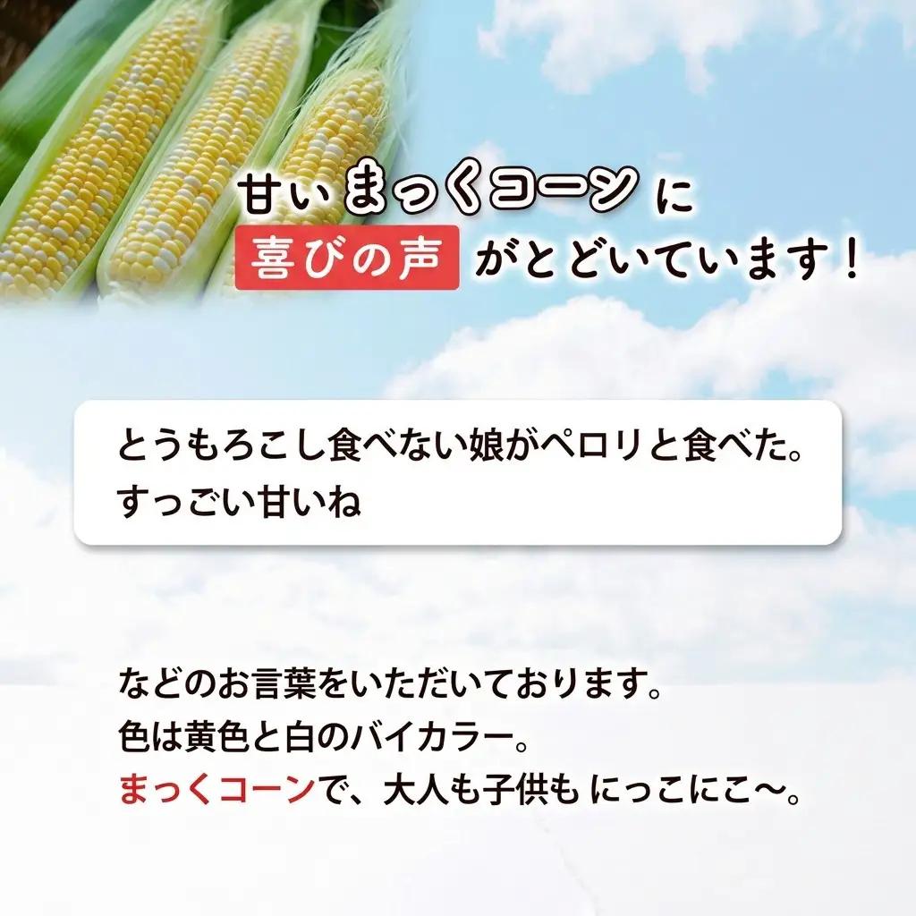 とうもろこし 富良野産 まっくコーン 生食 とうもろこし【11本】