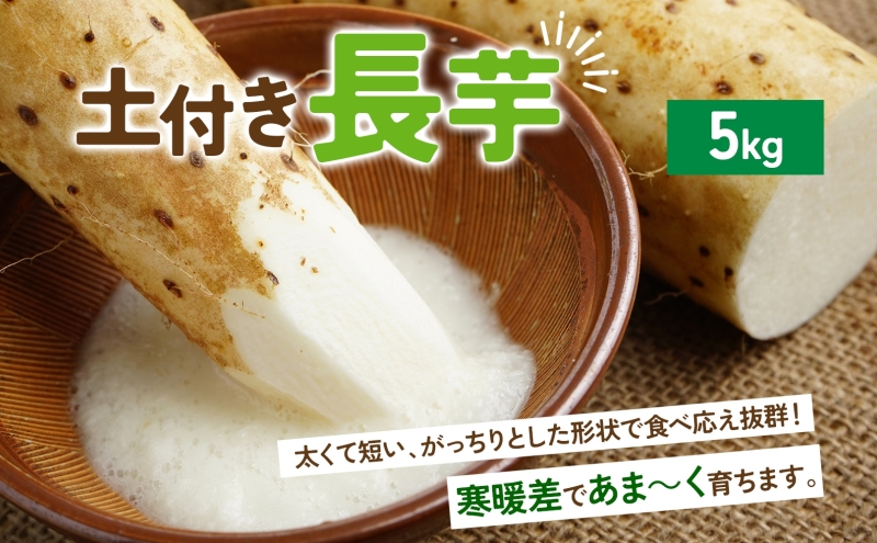 数量限定 根菜3種セット 計8.6kg 土付き 長芋 5kg 土付き ごぼう 1.5kg じゃがいも 1.8kg 11月下旬～12月下旬までのお届け 野菜 詰め合わせ 根菜 常温 青野農園 北海道 洞爺湖町
