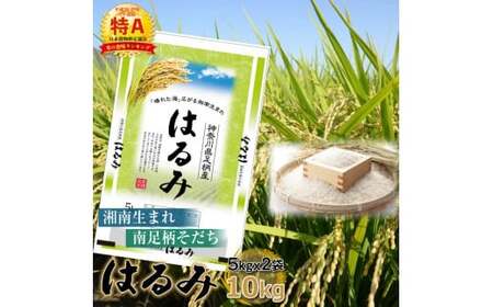 【令和6年産】湘南生まれ 南足柄育ちのお米「はるみ」(精米)10kg(5kg×2袋)〈出荷時期:10月初旬から順次発送〉【 ごはん おいしい 神奈川県 南足柄市 】