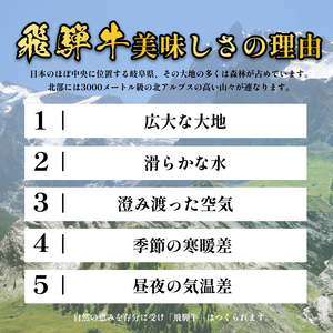 飛騨牛 牛肉 切り落とし 500g×2 計1kg A5 和牛