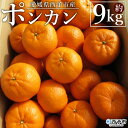 【ふるさと納税】＜愛媛県西予市産 ポンカン 約9kg 贈答用＞ 果物 くだもの フルーツ 蜜柑 ミカン 柑橘 ぽんかん 果実 果肉 ジューシー 特産品 美味しい おいしい 甘い ギフト 産地直送 段畑みかん 愛媛県 西予市【常温】『2025年1月中旬～2月中旬迄に順次出荷予定』