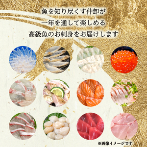 定期便 4回 唐戸市場直送 お刺身 各2人前 冷凍 刺身 刺身 刺身 EY031