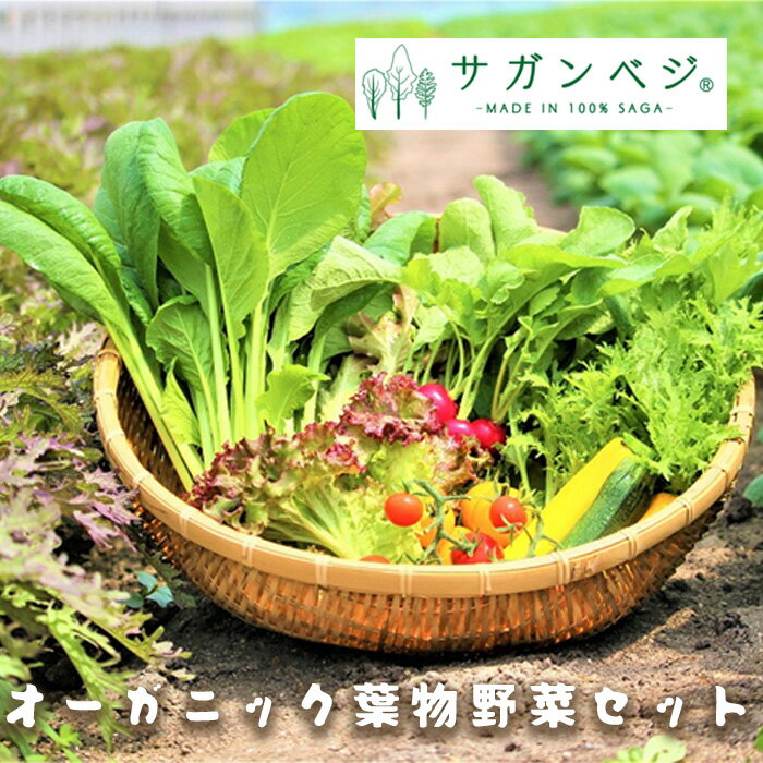 【ふるさと納税】オーガニック葉物野菜セット【植物性で育てた完全無農薬の葉野菜ブランド有機JAS】（CQ019）