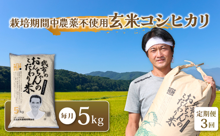 特別栽培米 栽培期間中農薬不使用 【3回お米定期便】玄米 コシヒカリ 数量限定 5キロ