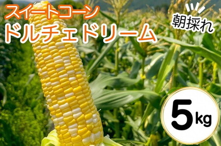 野菜 朝採れとうもろこし 5kg 〈アグリにのうみ〉 亀岡野菜 野菜 旬野菜 厳選野菜 野菜