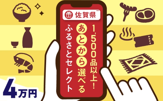 【あとから選べる】佐賀県ふるさとギフト 4万円分 / 後から ゆっくり選ぶ 寄附 有田焼 和牛 米 [41AAZY002]