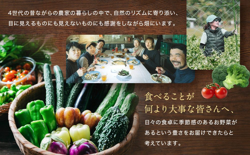 【先行予約 2027年5月より発送】【全3回定期便】農家からお届け！旬のお野菜たっぷり8種セット