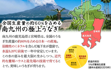 国産 うなぎ 蒲焼き（無頭 約180g前後）×3尾 タレ＆山椒付 贈答用BOX入り【甲羅組 化粧箱入り 贈答 ギフト 長焼 うな重 うな丼 ひつまぶし 鰻 蒲焼 惣菜 丑の日 お中元 お歳暮 人気 高