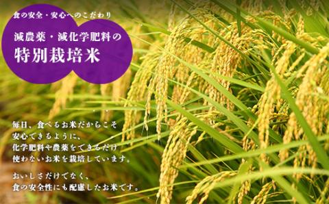 《新米》《先行受付》2024年産(令和6年産)「きりしまのゆめ」ヒノヒカリ 玄米10kg 霧島湧水が育む減農薬栽培のお米[特別栽培米 無洗米 真空チャック式 『返礼品特集20000円以下』-宮崎県高原