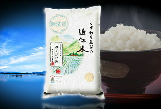 【ふるさと納税】【PRキャンペーン対象】【6年産】近江米 環境こだわり栽培 みずかがみ 無洗米 【10kg×1】