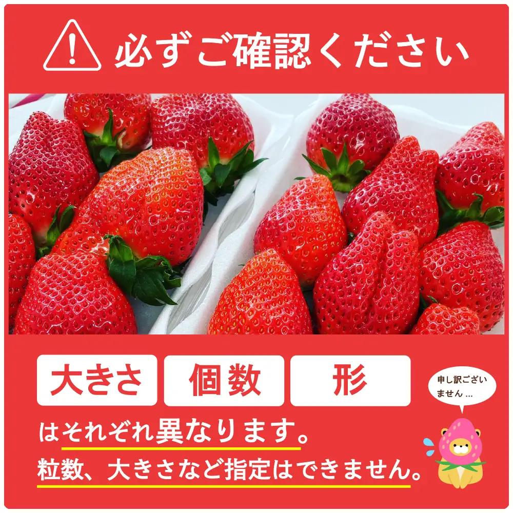 【クール便】2027年4月発送 いちご やよいひめ 約340g×4