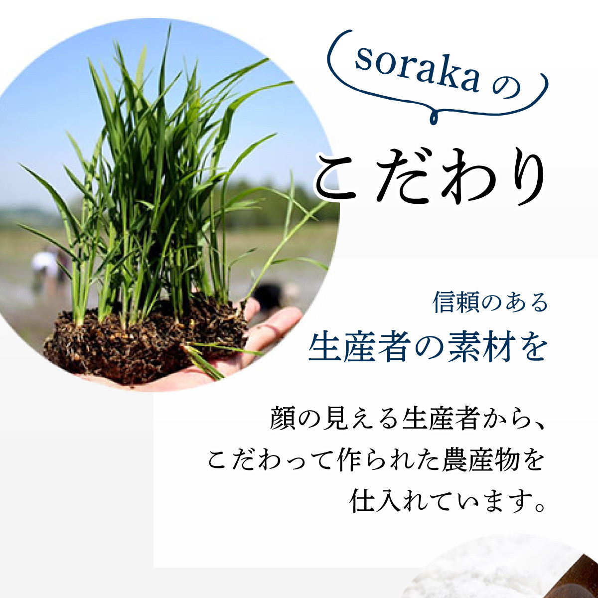 岩見沢産米粉使用、グルテンフリー製法のエクレアお任せ15本詰め合わせ【24026】