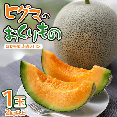 【ふるさと納税】【発送月固定定期便】ヒグマのおくりもの 赤肉メロン(1玉)・ホワイトショコラ(2L×10本)全2回【配送不可地域：離島】【4068413】