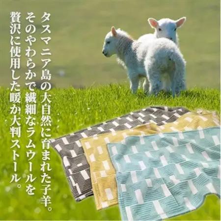 【ポケット付】洗えるタスマニアラムウール混大判ストール 70×180cm ブラウン OTW-7018【1555553】