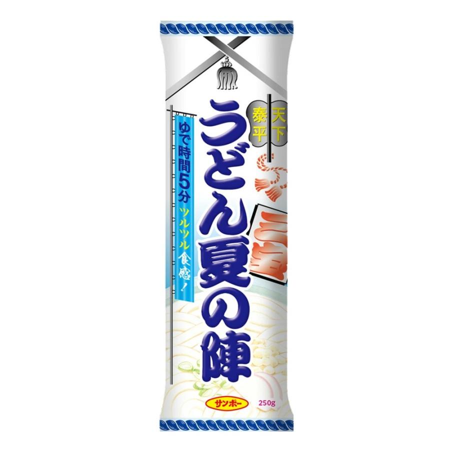 ふるさと納税 基山町 うどん夏の陣【やわらか/つるつる /早煮】15袋