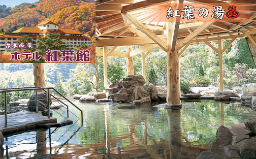 花巻温泉日帰り入浴回数券（10回分） 【1366】