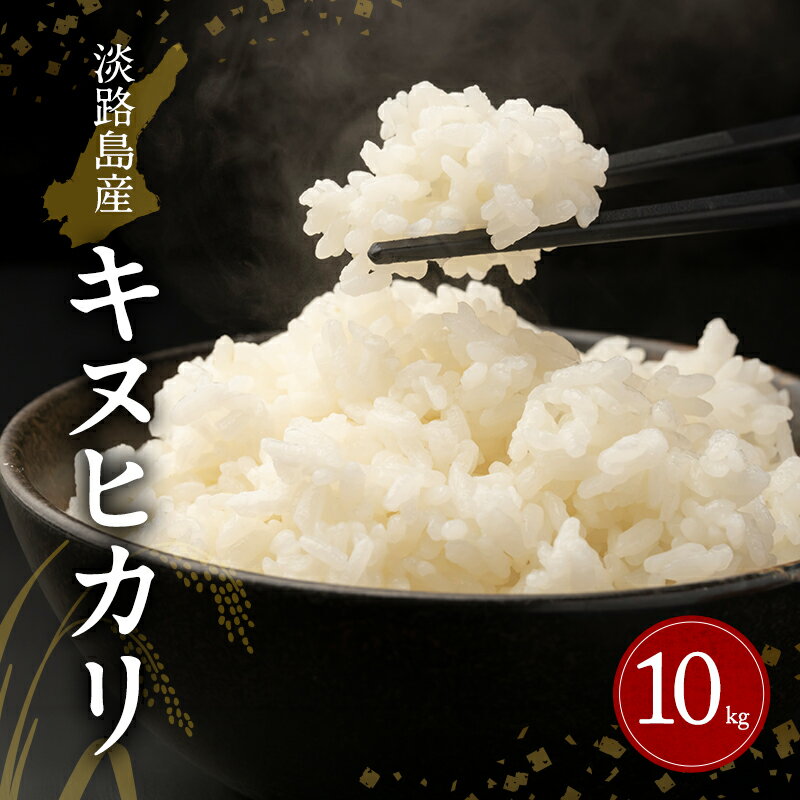 【ふるさと納税】淡路島産キヌヒカリ 10kg(5kg×2)　米 コメ おこめ 精米 ごはん ライス 弁当 おにぎり 兵庫県 洲本市 淡路島　お届け：2026年9月～