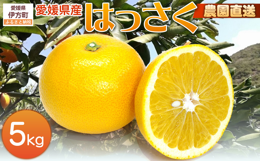 
            【栽培期間中農薬不使用】【先行受付】【数量限定】農園直送！愛媛県産 はっさく 5kg （2026年2月下旬頃より順次発送） 【 ふるさと納税 人気 おすすめ ランキング 柑橘 みかん ミカン 蜜柑 はっさく フルーツ 果物 産地直送 ギフト 贈り物 栽培期間中農薬不使用 木野本農園 愛媛県産 愛媛県 伊方町 送料無料 】 IKTG023
          