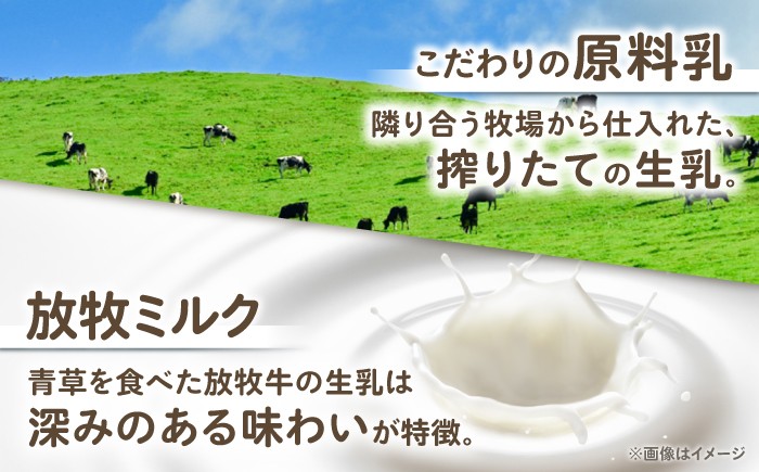 チーズ ナチュラルチーズ ハード 生乳 ミルク 乳製品 おつまみ ギフト 北海道