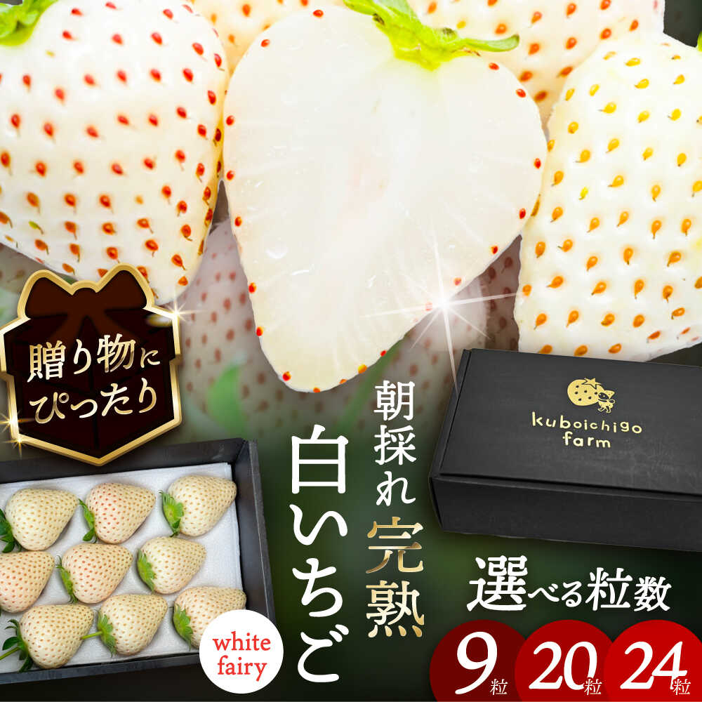 【ふるさと納税】【選べる個数】 白いちご　White Fairy 9粒 / 20粒 / 24粒愛西市 / くぼ苺農園 【配達不可：北海道・沖縄・離島】[AECJ016]