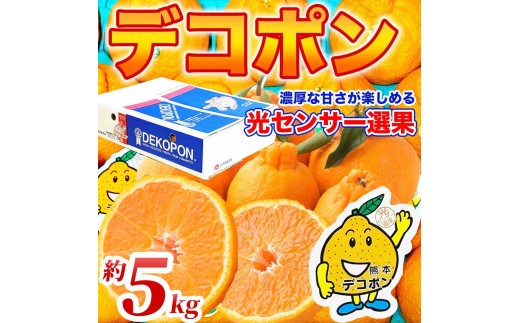 先行予約 デコポン 約5kg (12～24玉) 【2026年12月上旬～2027年4月上旬発送予定】でこぽん 果物 フルーツ くだもの 柑橘 柑橘類 フルーツ 国産 熊本 熊本県 九州 産地直送 日本フルーツ