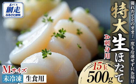 【先行予約】大玉「生」ほたて 500g（15～18玉）（令和7年12月1日より順次発送） ABAE008