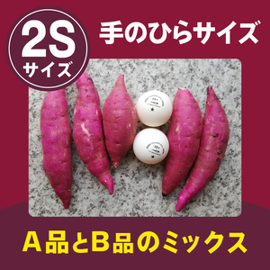 茨城県行方市特産紅はるか 2Sサイズ(A品・B品ミックス) 約10kg｜さつまいも 紅はるか(FU-5)