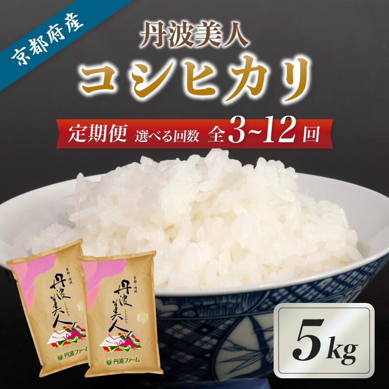 【ふるさと納税】【令和7年度産】【定期便】「丹波美人」 白米 5kg 京都府産 コシヒカリ （ 3回 / 6回 / 12回 ）《選べるお届け回数》 お米 米 白米 精米 こしひかり お米の定期便 毎月発送