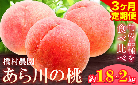 桃 モモ【 3回 定期便 】あら川の桃 約1.8kg~約2kg　旬の品種3回お届け 3回お届け 橋村農園 《2026年6月下旬-8月中旬頃出荷》 和歌山県 紀の川市