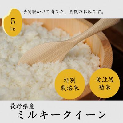 ふるさと納税 茅野市 長野県産特別栽培米　ミルキークイーン　精米　5kg