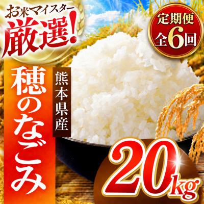 ふるさと納税 和水町 【毎月定期便】熊本県 穂のなごみ 白米 20kg (ブレンド米)全6回
