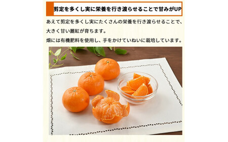 【和歌山有田産】麗紅 約4kg (サイズおまかせ) れいこう  ※2024年2月中旬頃～4月上旬頃に順次発送予定【krw012-r-4】