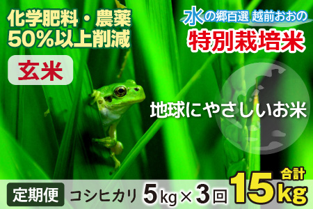 【令和8年産 新米】【3ヶ月定期便】こしひかり 5kg × 3回 計 15kg【玄米】減農薬・減化学肥料 「特別栽培米」－地球にやさしいお米－[B-003007]