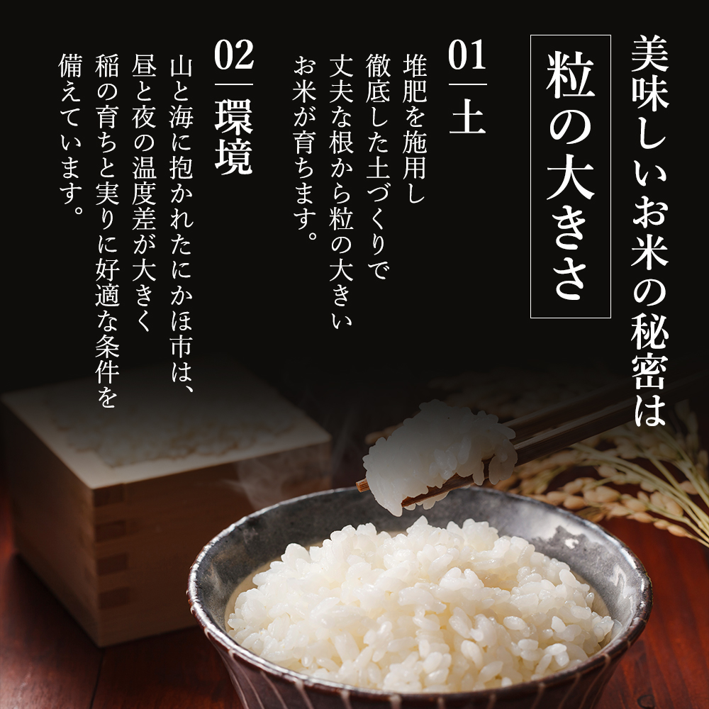 【新米先行予約　11月以降順次発送予定】米 定期便 全4回 あきたこまち 5kg ×4回 計20kg 令和8年産〈土づくり実証米〉JAしんせい【 精米 白米 米 コメ お米 ブランド米 ご飯 ごはん低