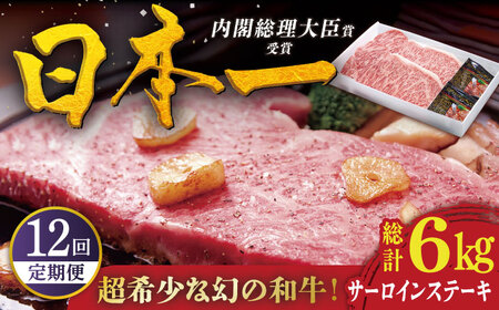 【12回定期便】特選 平戸和牛 サーロインステーキ 約250g×2枚【萩原食肉産業有限会社】[KAD116]/ 長崎 平戸 肉 牛 牛肉 黒毛和牛 和牛 焼肉 ステーキ サーロイン 冷蔵  定期便