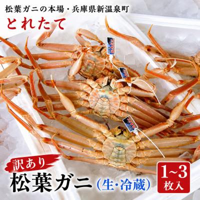 ふるさと納税 新温泉町 松葉ガニの本場・兵庫県新温泉町　とれたて　訳あり・松葉ガニ(生・冷蔵)　1〜3枚入