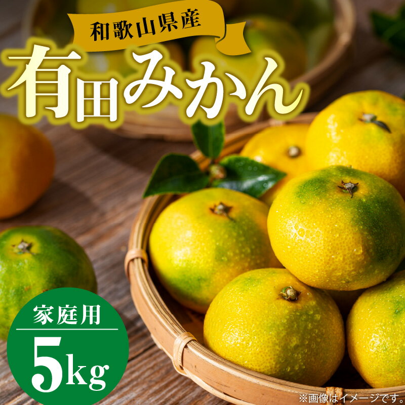【ふるさと納税】【2025年先行予約】【限定】 【訳あり】 和歌山県産 有田みかん 5kg 【ミカン 蜜柑 柑橘 温州みかん 和歌山 有田】