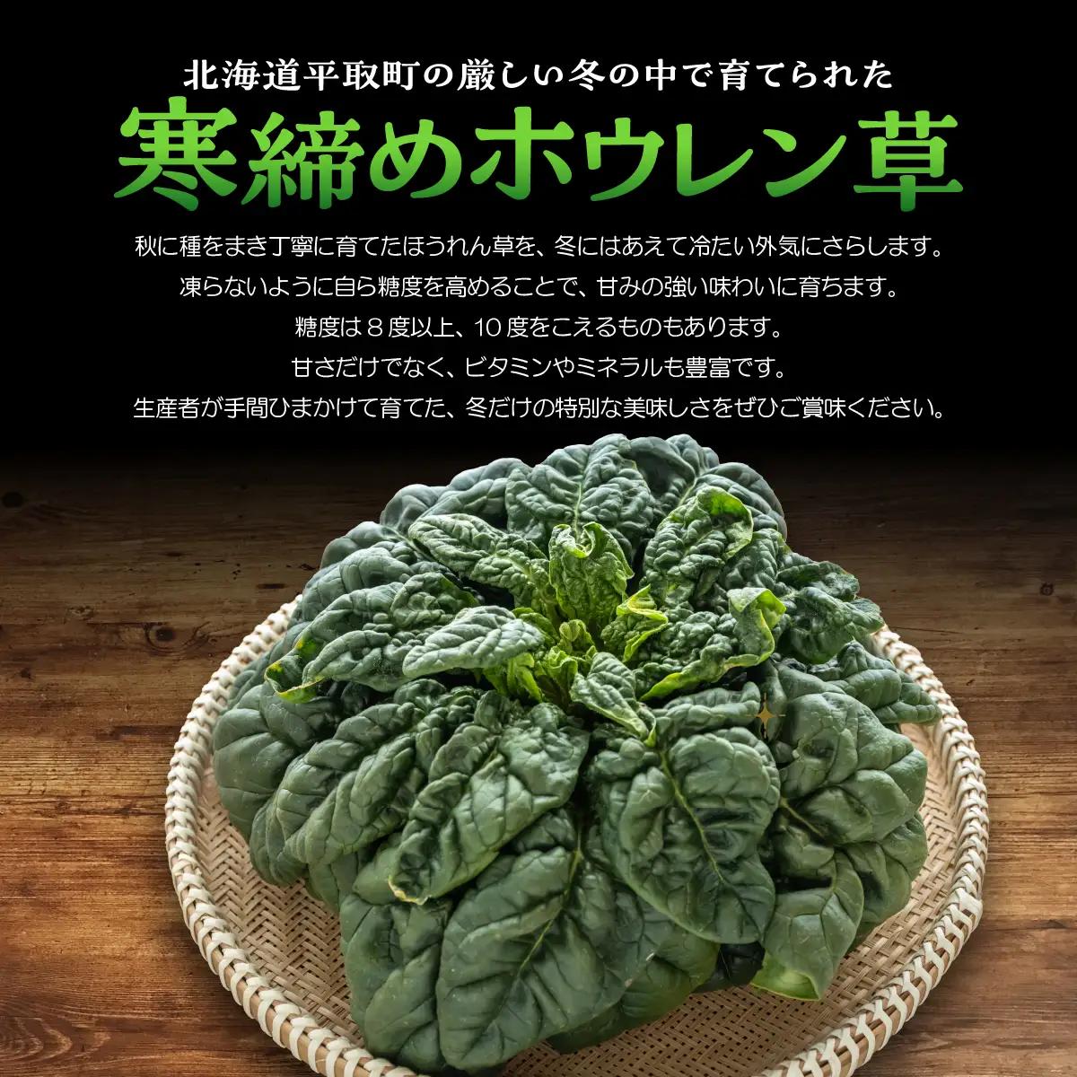 【先行予約/2026年12月上旬以降発送】【北海道平取町産】寒締めホウレン草（ちぢみほうれん草）200g×10袋 BRTO003