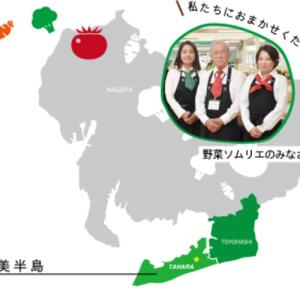 先行予約 道の駅の野菜ソムリエ厳選 タカミメロン 5玉 箱詰め メロン フルーツ 果物 お取り寄せ 渥美半島 産地直送 田原市 送料無料 16000円　めっくんはうす