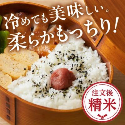 ふるさと納税 松阪市 ミルキークイーン 精米 10kg (5kg×2) |  | 01