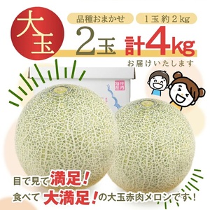 SA2894　特選 庄内産 赤肉メロン　約4kg(大玉/2玉入) 品種おまかせ