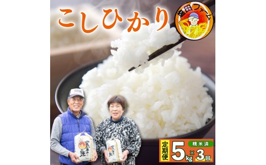 コシヒカリ 5kg 定期便 3回 令和8年産 米 こめ ご飯 ごはん おにぎり 白米 精米 卵かけご飯 食品 備蓄 備蓄米 保存 防災 ギフト 贈答 プレゼント お取り寄せ グルメ 送料無料 徳島県 阿波市 塩田ファーム