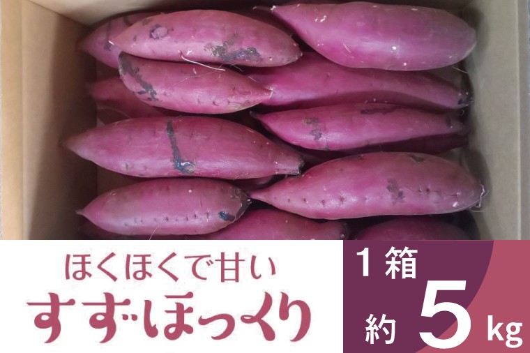
                  【2026年11月より順次発送】2026年度産 ホクホクで甘いさつまいも すずほっくり 約5kg｜さつまいも 芋 お芋 すずほっくり 渋谷農園 茨城県 行方市(BZ-13)
                