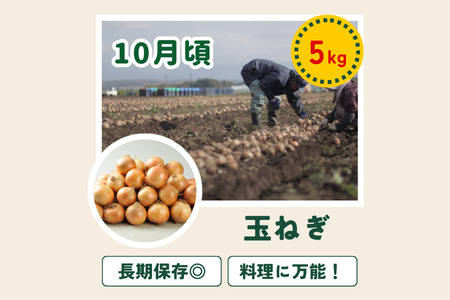 野菜セット 4回 定期便  旬な野菜 新鮮 白樺 美瑛の四季【令和8年産予約受付】 