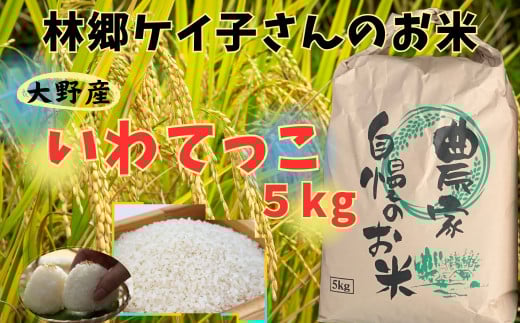 【令和7年産】大野産いわてっこ5㎏